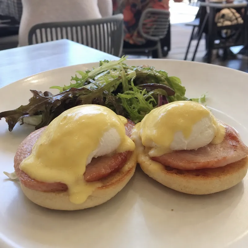 Eggs benedict with hollandaise on toasted muffins